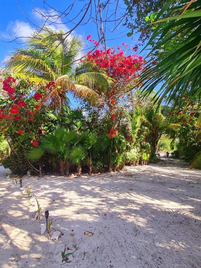 Hotel Maya Luna Adults Only Mahahual Kültér fotó