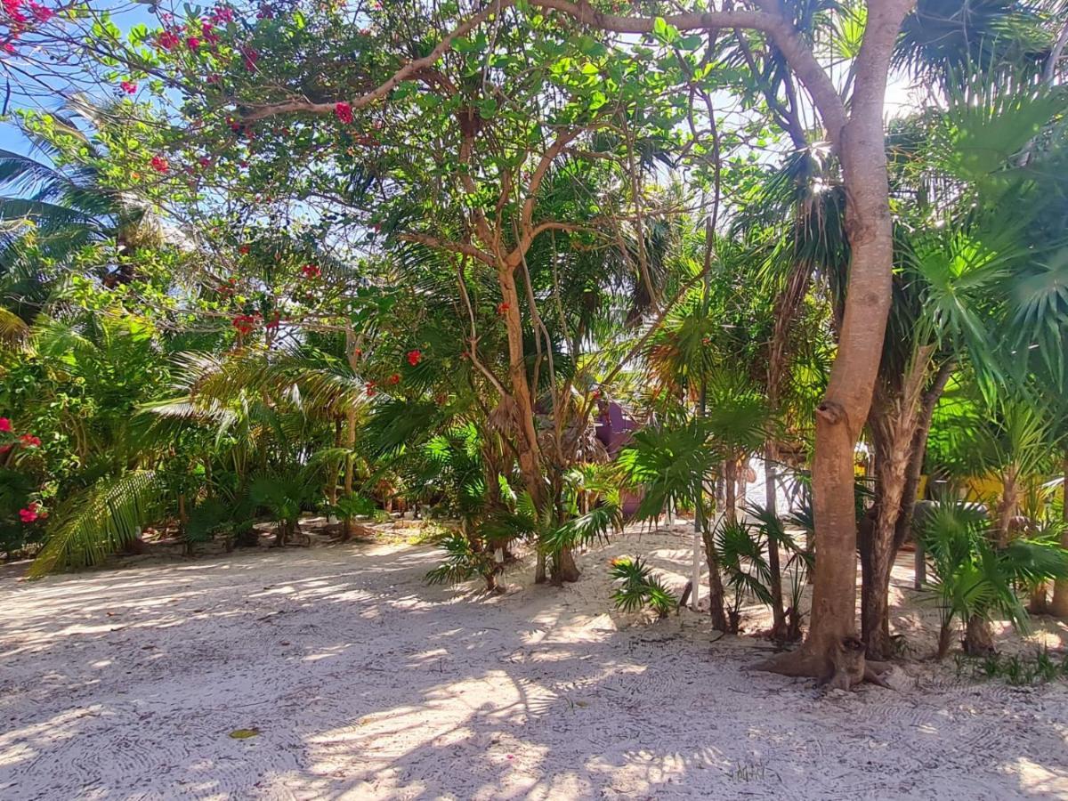 Hotel Maya Luna Adults Only Mahahual Kültér fotó